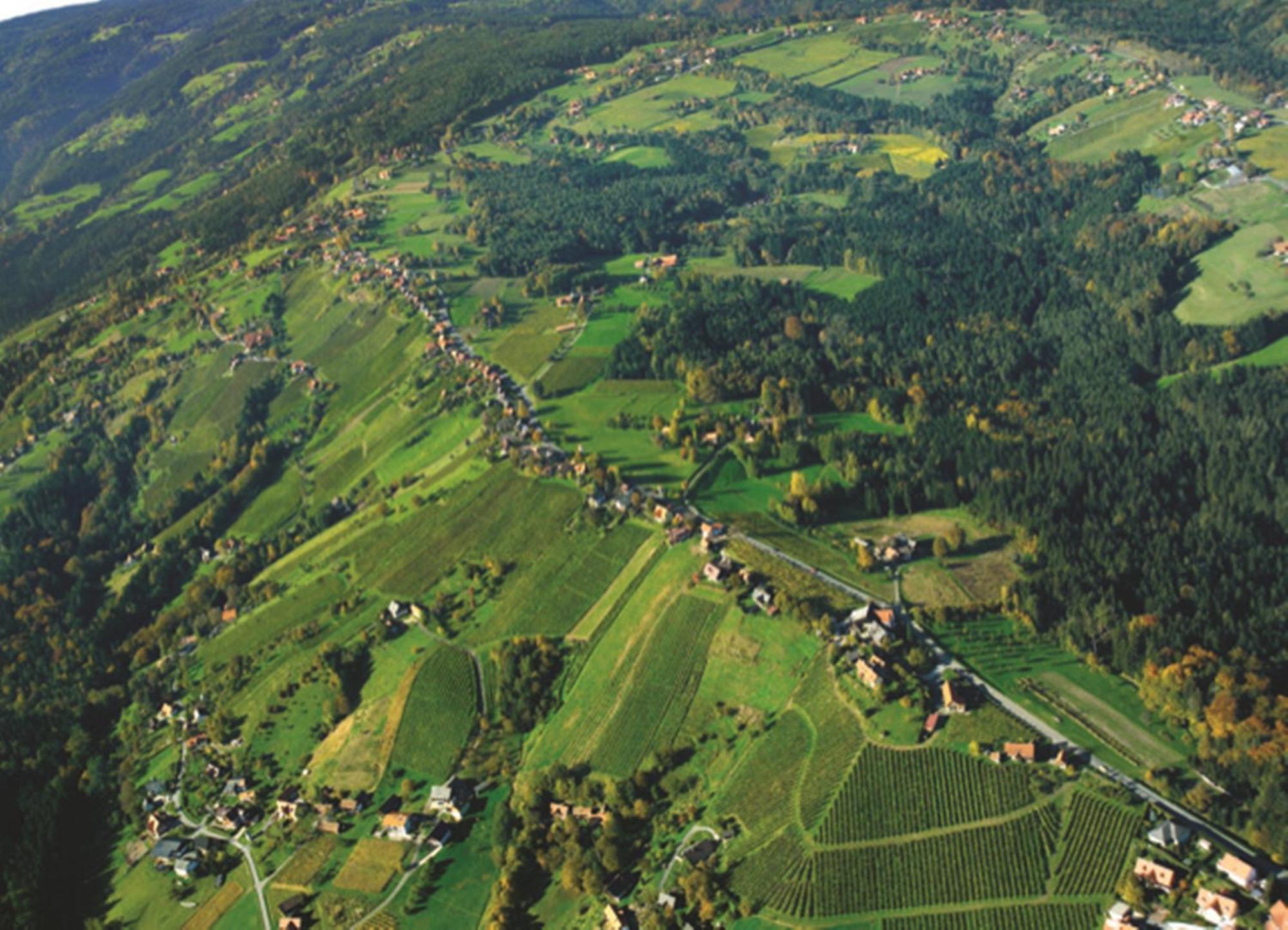 Hotel Stainzerhof Eksteriør bilde